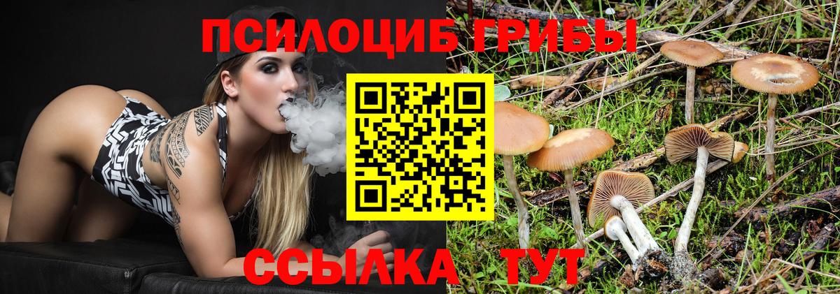 Псилоцибиновые грибы Cubensis  Вход с VPN  Мурманск  Галлюциногенные грибы мухоморы 